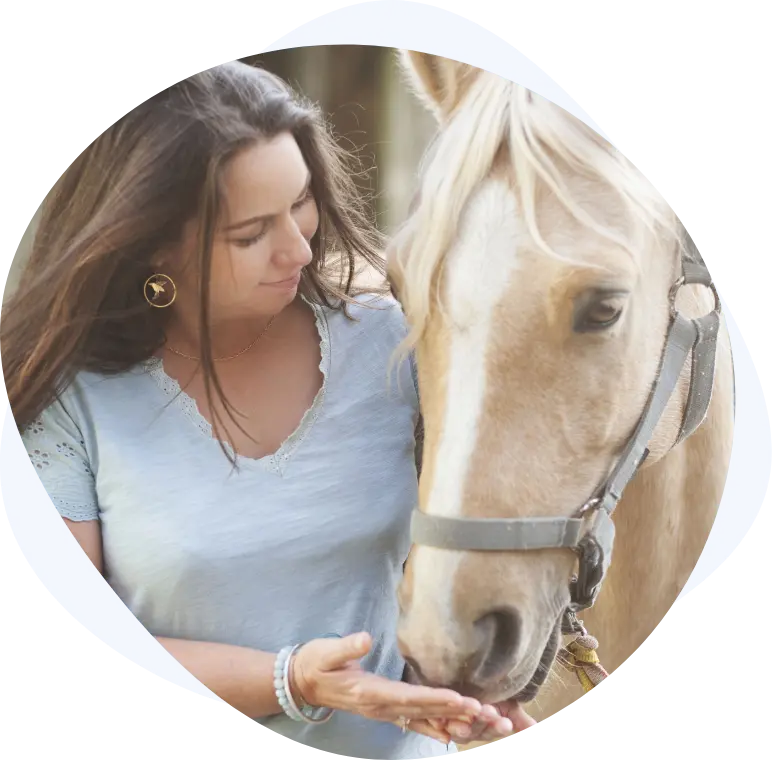 equicoaching